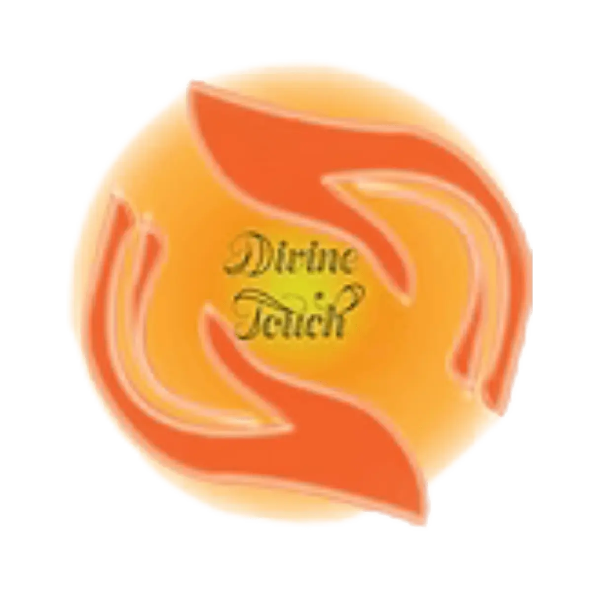 divine touch logo